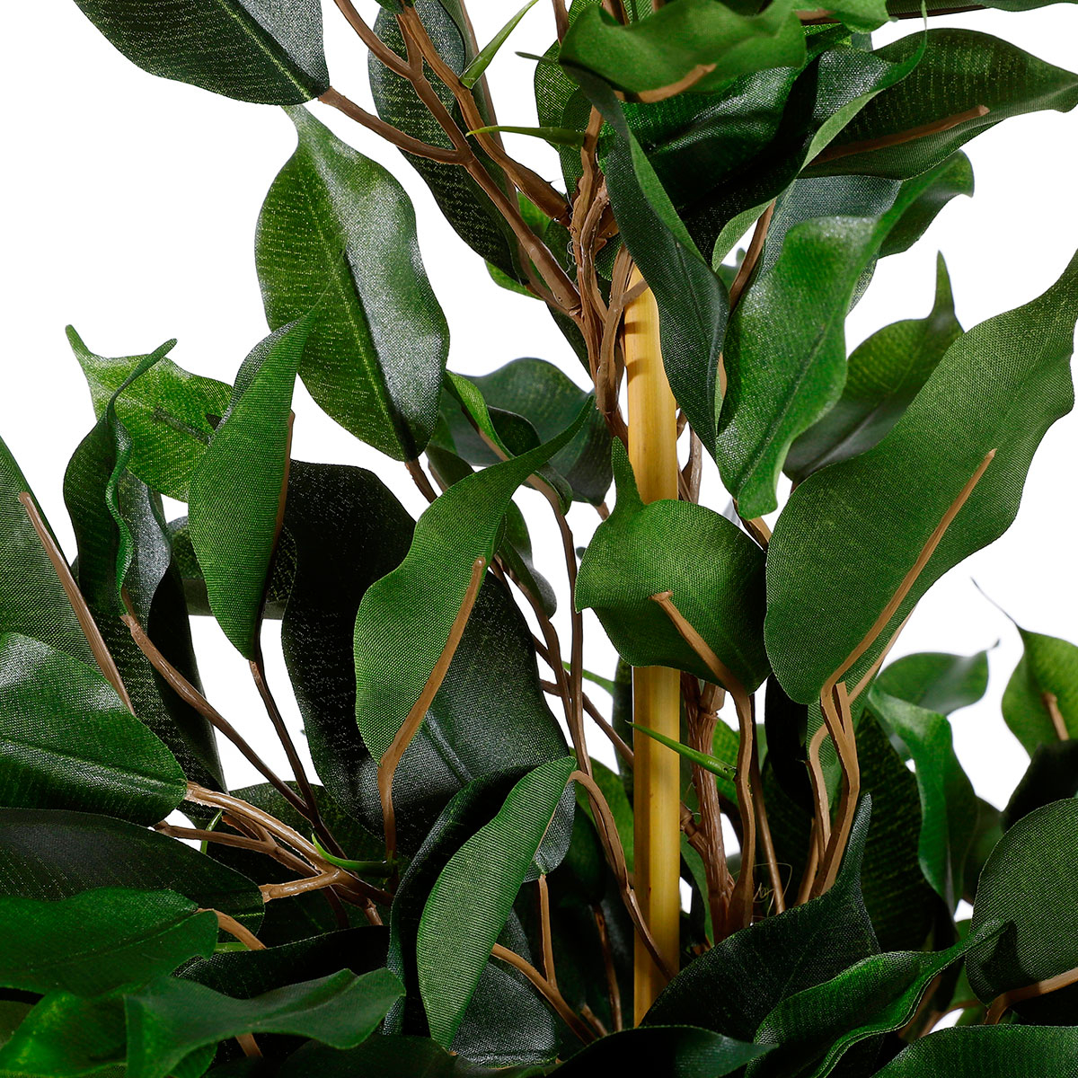 Τεχνητό Φυτό σε Γλάστρα 60Εκ Edelman Ficus 980063 Home Διακόσμηση Τεχνητά Φυτά - Λουλούδια Spitishop