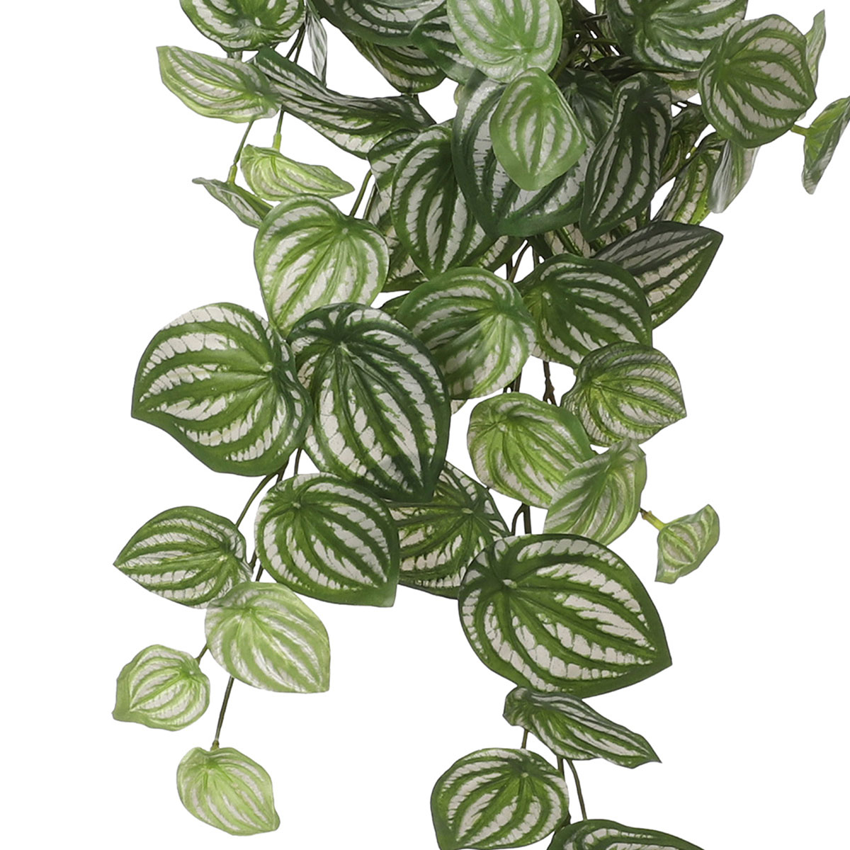 Τεχνητό Φυτό Κρεμαστό 58Εκ Edelman Peperomia L Green 1074940 Home Διακόσμηση Τεχνητά Φυτά - Λουλούδια Spitishop