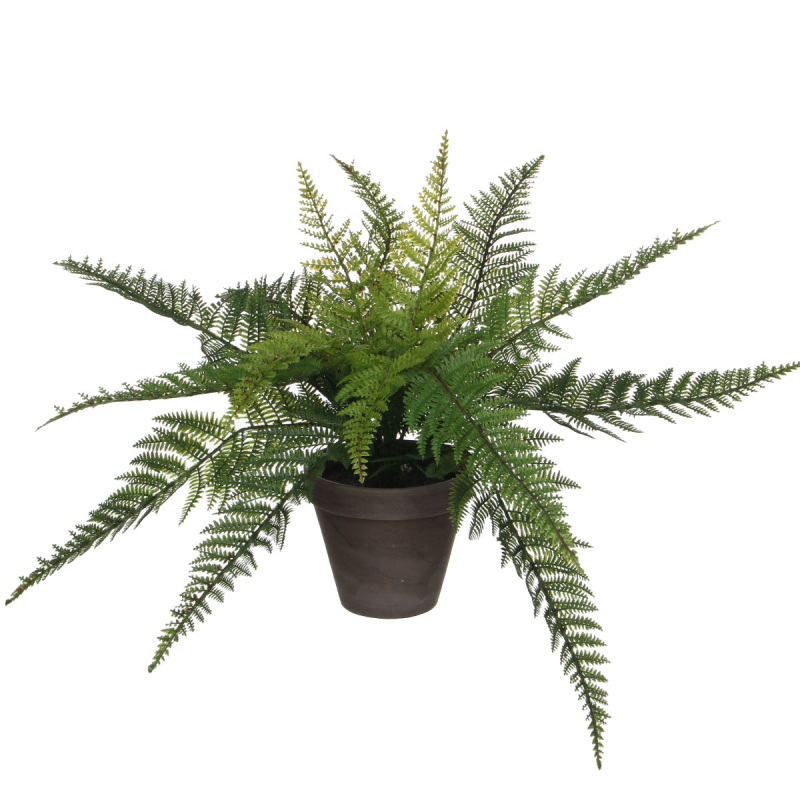 Τεχνητό Φυτό Σε Γλάστρα 38εκ. Edelman Fern 1044531