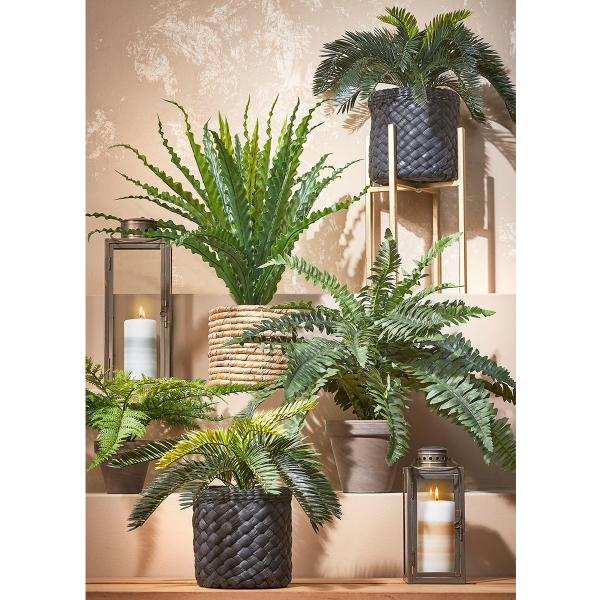 Τεχνητό Φυτό Σε Γλάστρα 38εκ. Edelman Fern 1044531