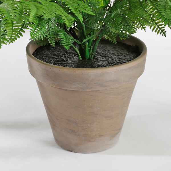 Τεχνητό Φυτό Σε Γλάστρα 38εκ. Edelman Fern 1044531