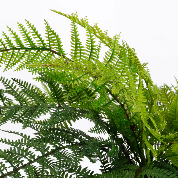 Τεχνητό Φυτό Σε Γλάστρα 38εκ. Edelman Fern 1044531