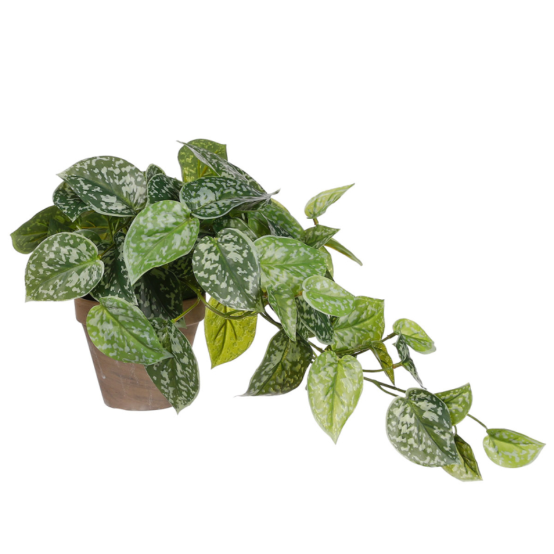 Τεχνητό Φυτό Σε Γλάστρα 44εκ. Edelman Scindapsus 1116843