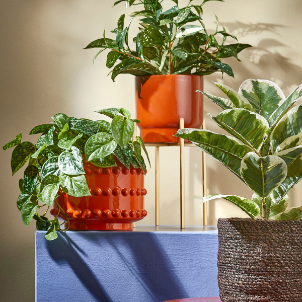 Τεχνητό Φυτό Σε Γλάστρα 44εκ. Edelman Scindapsus 1116843