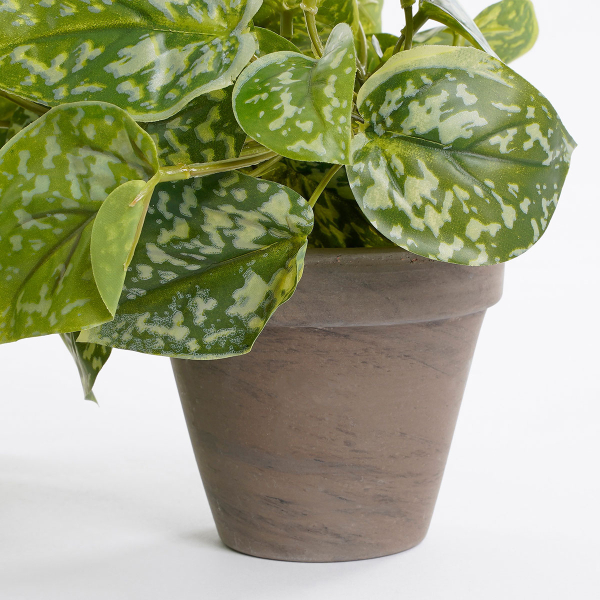 Τεχνητό Φυτό Σε Γλάστρα 44εκ. Edelman Scindapsus 1116843