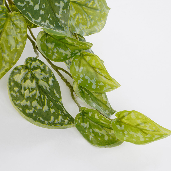 Τεχνητό Φυτό Σε Γλάστρα 44εκ. Edelman Scindapsus 1116843