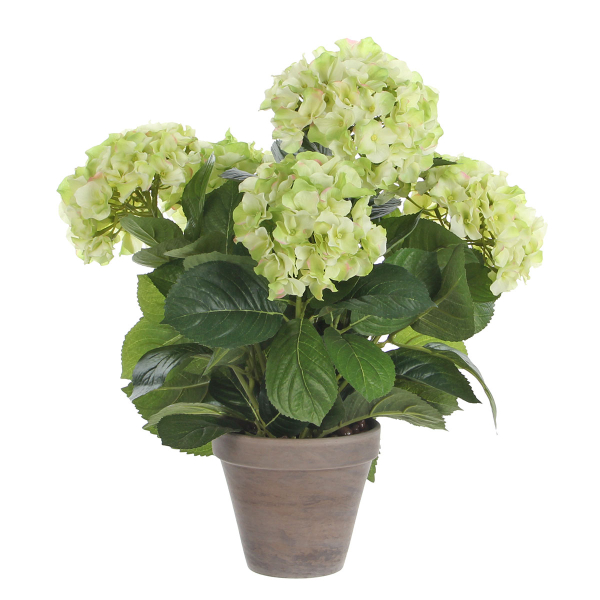 Τεχνητό Λουλούδι Σε Γλάστρα 45εκ. Edelman Hortensia Cream 947273