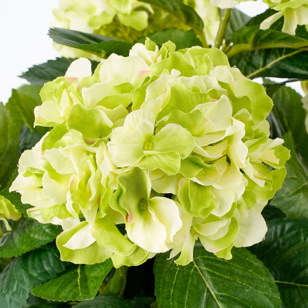 Τεχνητό Λουλούδι Σε Γλάστρα 45εκ. Edelman Hortensia Cream 947273
