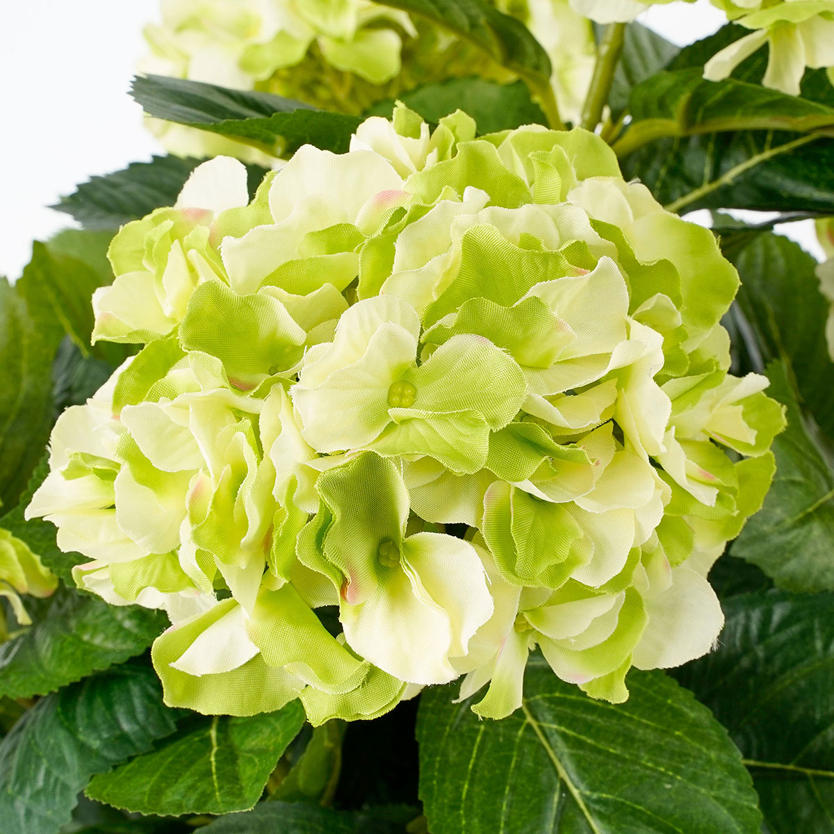 Τεχνητό Λουλούδι σε Γλάστρα 45Εκ Edelman Hortensia Cream 947273 Home Διακόσμηση Τεχνητά Φυτά - Λουλούδια Spitishop