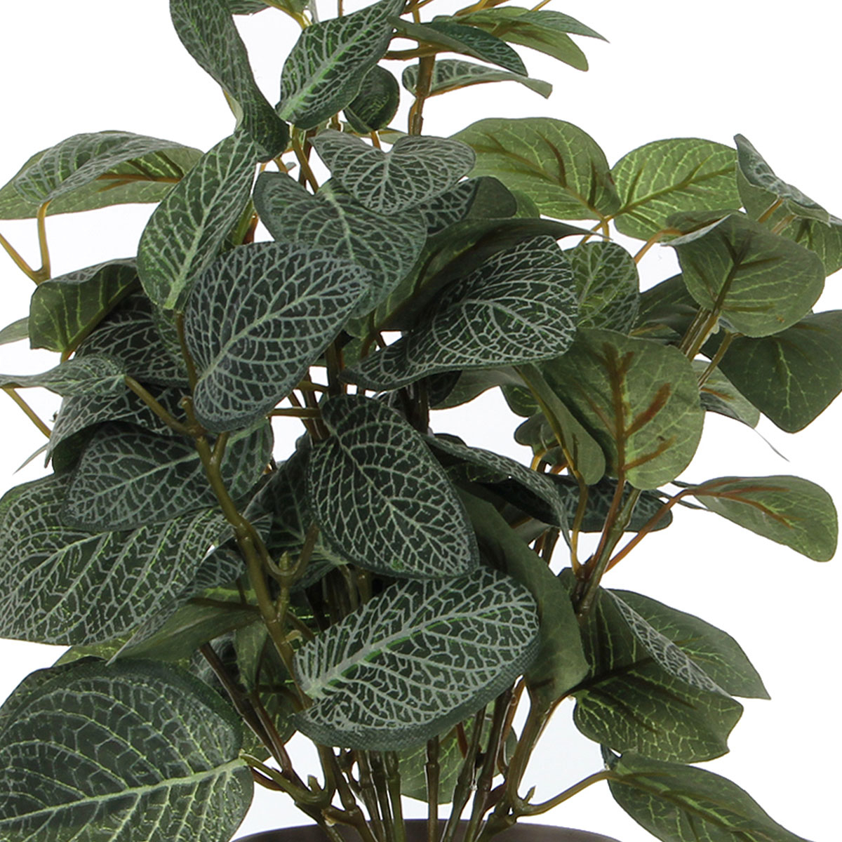 Τεχνητό Φυτό σε Γλάστρα 35Εκ Edelman Pilea 966059 Home Διακόσμηση Τεχνητά Φυτά - Λουλούδια Spitishop