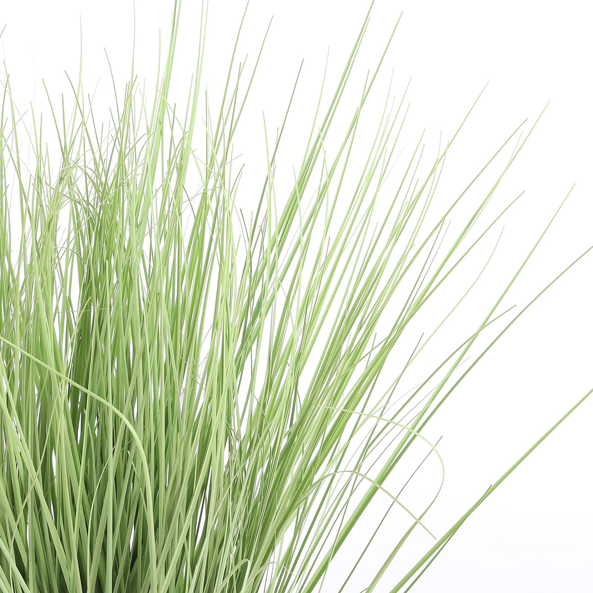 Τεχνητό Φυτό σε Γλάστρα 50Εκ Edelman Grass 1005548 Home Διακόσμηση Τεχνητά Φυτά - Λουλούδια Spitishop