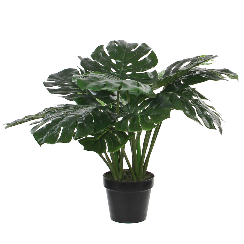 Τεχνητό Φυτό Σε Γλάστρα 60εκ. Edelman Monstera 1026800