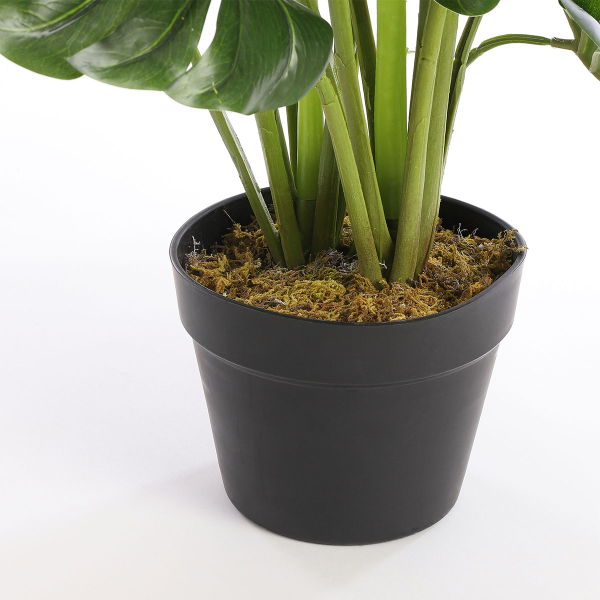 Τεχνητό Φυτό Σε Γλάστρα 60εκ. Edelman Monstera 1026800