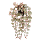 Τεχνητό Φυτό Σε Γλάστρα Κρεμαστό (Φ12×46) Edelman Ceropegia Pink 1151041