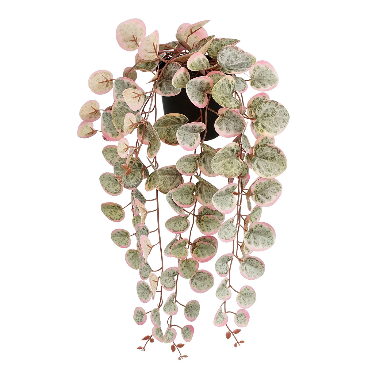Τεχνητό Φυτό Σε Γλάστρα Κρεμαστό (Φ12×46) Edelman Ceropegia Pink 1151041 278225