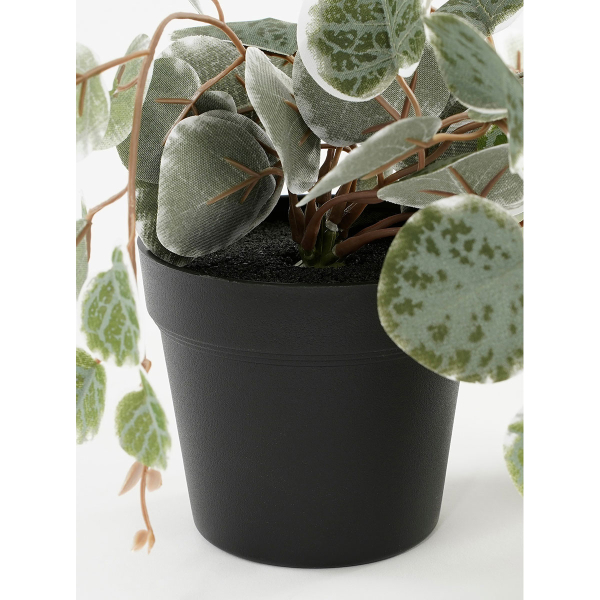 Τεχνητό Φυτό Σε Γλάστρα Κρεμαστό (Φ12x46) Edelman Ceropegia Pink 1151041