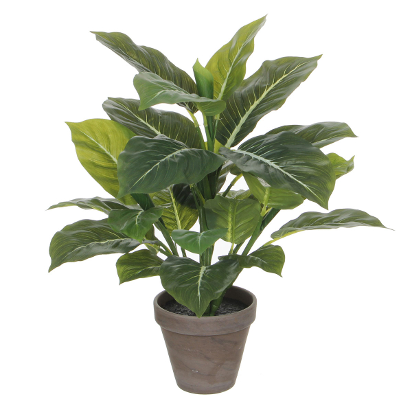 Τεχνητό Φυτό Σε Γλάστρα 49εκ. Edelman Evergreen 1044543