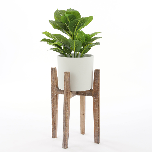 Τεχνητό Φυτό Σε Γλάστρα 49εκ. Edelman Evergreen 1044543