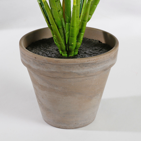 Τεχνητό Φυτό Σε Γλάστρα 49εκ. Edelman Evergreen 1044543