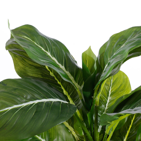 Τεχνητό Φυτό Σε Γλάστρα 49εκ. Edelman Evergreen 1044543