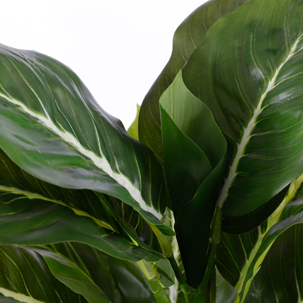 Τεχνητό Φυτό Σε Γλάστρα 49εκ. Edelman Evergreen 1044543