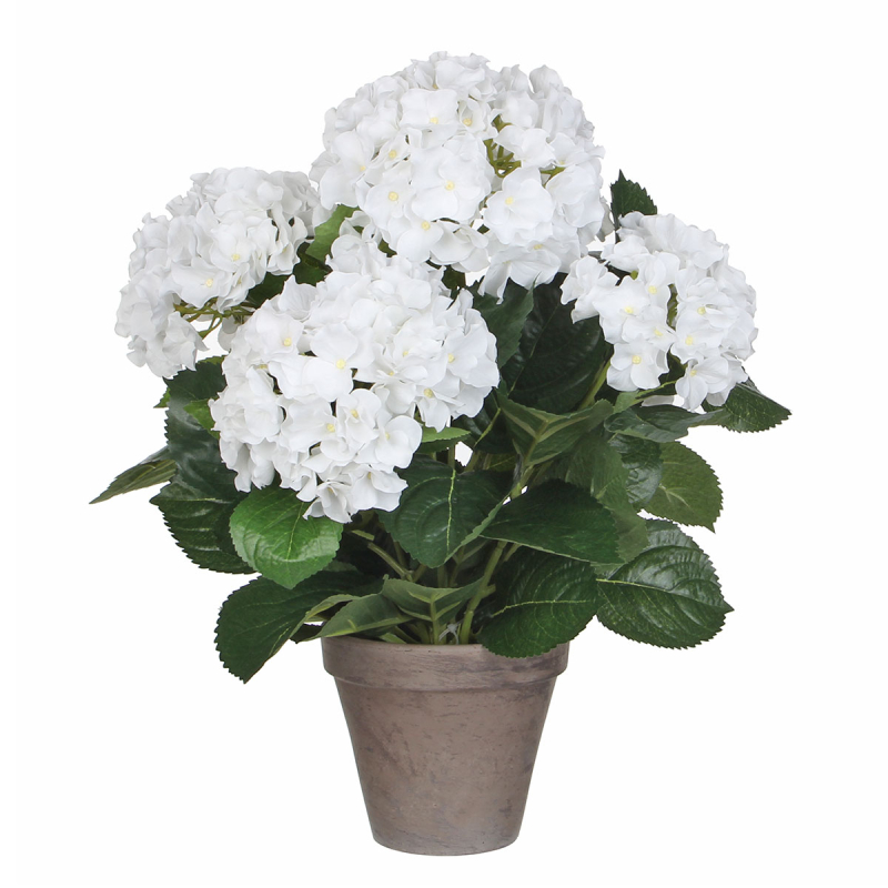 Τεχνητό Λουλούδι Σε Γλάστρα 45εκ. Edelman Hortensia White 947278