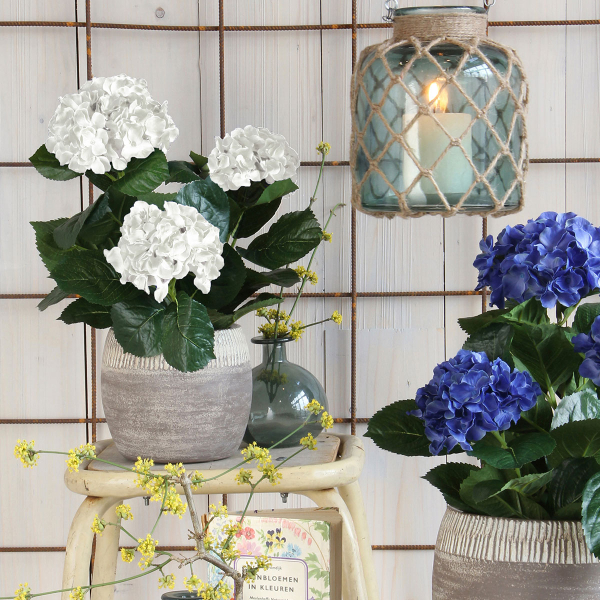 Τεχνητό Λουλούδι Σε Γλάστρα 45εκ. Edelman Hortensia White 947278