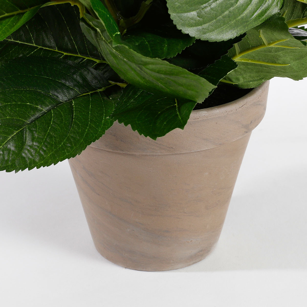 Τεχνητό Λουλούδι Σε Γλάστρα 45εκ. Edelman Hortensia White 947278