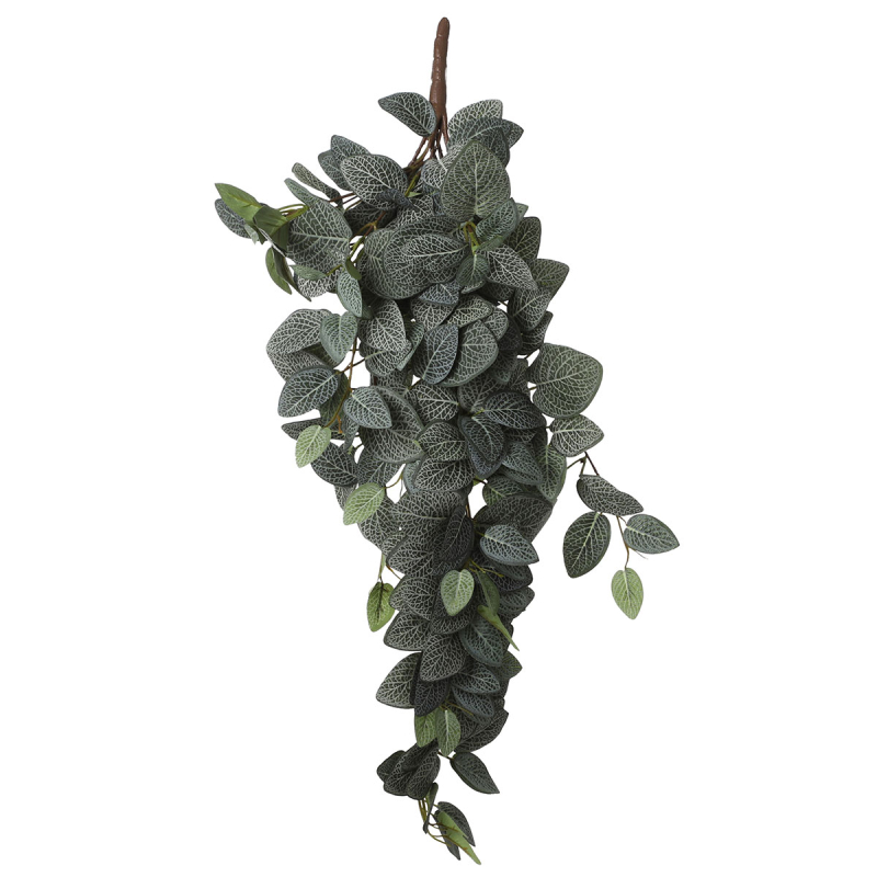 Τεχνητό Φυτό Κρεμαστό 54εκ. Edelman Fittonia 1074941