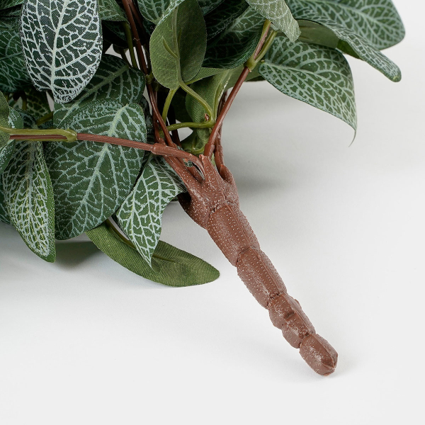 Τεχνητό Φυτό Κρεμαστό 54εκ. Edelman Fittonia 1074941