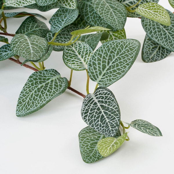 Τεχνητό Φυτό Κρεμαστό 54εκ. Edelman Fittonia 1074941