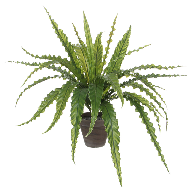 Τεχνητό Φυτό Σε Γλάστρα 50εκ. Edelman Asplenium 1044536