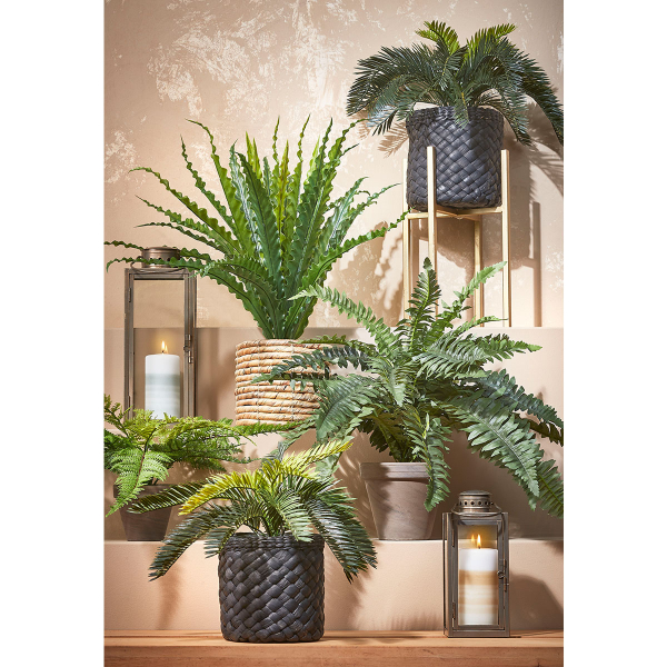 Τεχνητό Φυτό Σε Γλάστρα 50εκ. Edelman Asplenium 1044536