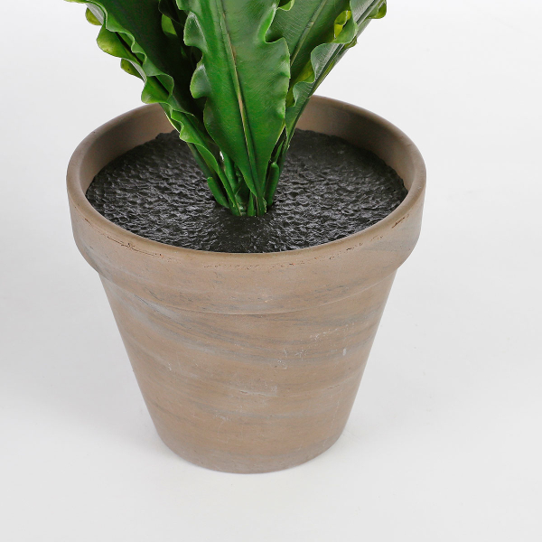 Τεχνητό Φυτό Σε Γλάστρα 50εκ. Edelman Asplenium 1044536