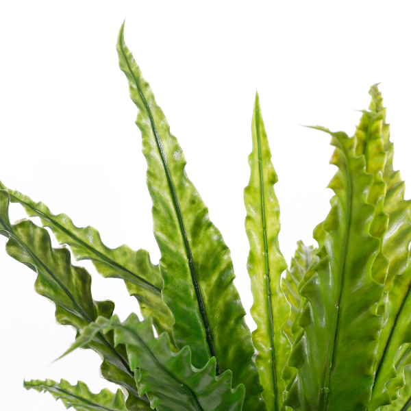 Τεχνητό Φυτό Σε Γλάστρα 50εκ. Edelman Asplenium 1044536