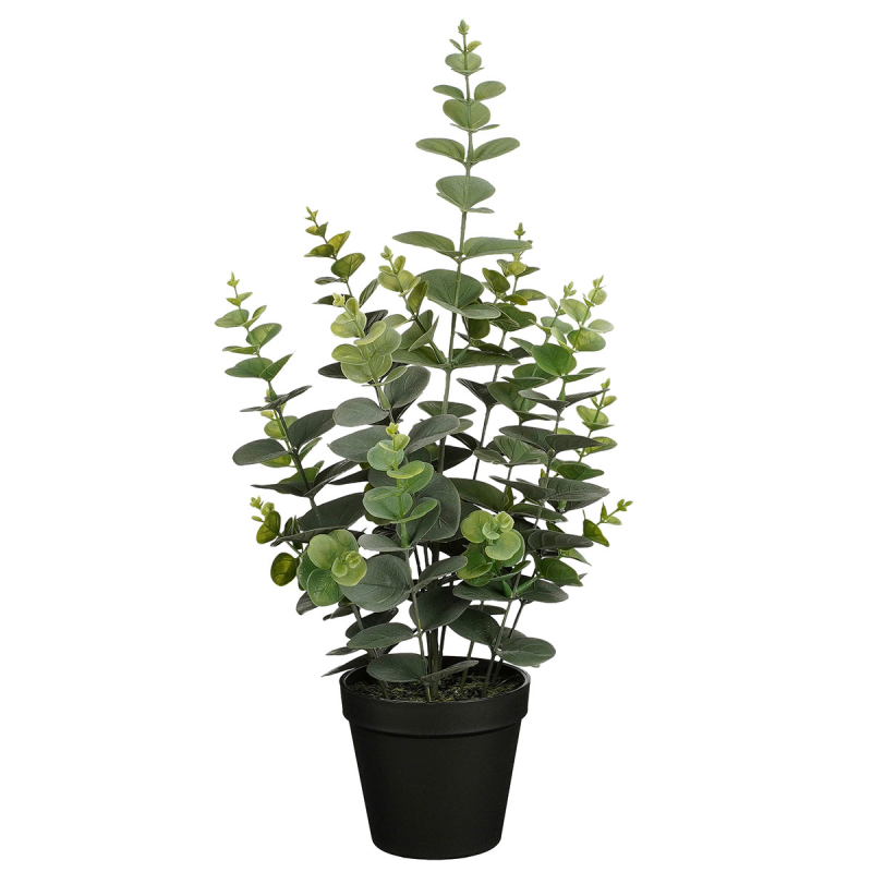 Τεχνητό Φυτό Σε Γλάστρα 53εκ. Edelman Eucalyptus 1150926