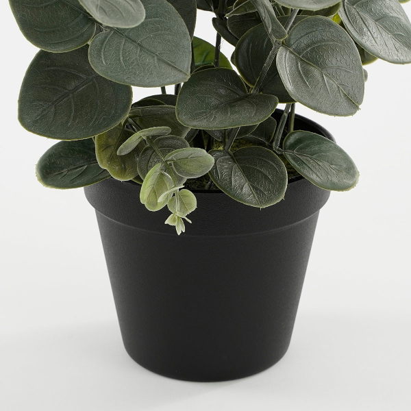 Τεχνητό Φυτό Σε Γλάστρα 53εκ. Edelman Eucalyptus 1150926