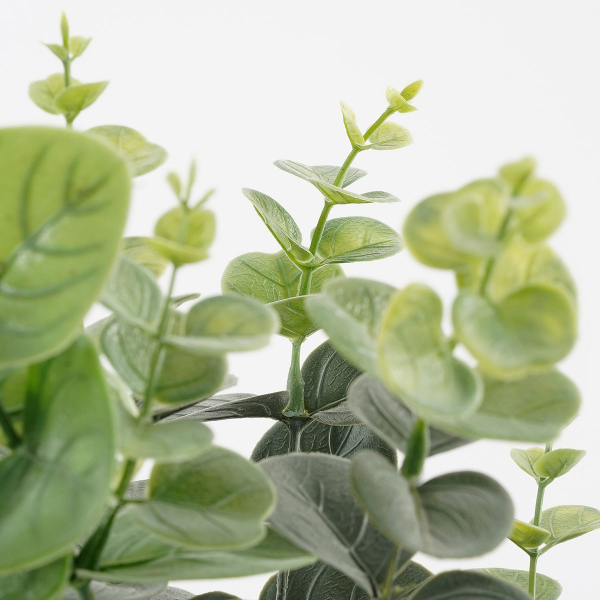 Τεχνητό Φυτό Σε Γλάστρα 53εκ. Edelman Eucalyptus 1150926