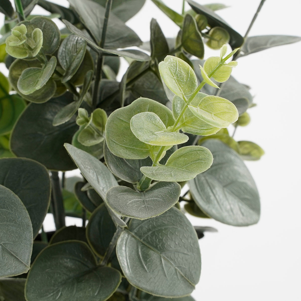Τεχνητό Φυτό Σε Γλάστρα 53εκ. Edelman Eucalyptus 1150926