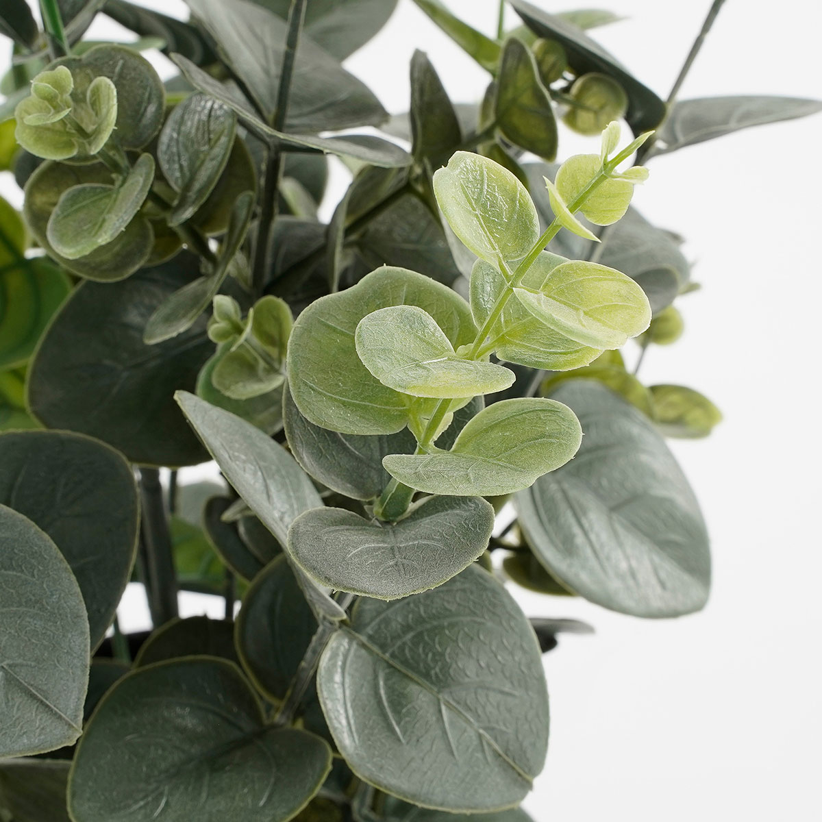 Τεχνητό Φυτό σε Γλάστρα 53Εκ Edelman Eucalyptus 1150926 Home Διακόσμηση Τεχνητά Φυτά - Λουλούδια Spitishop