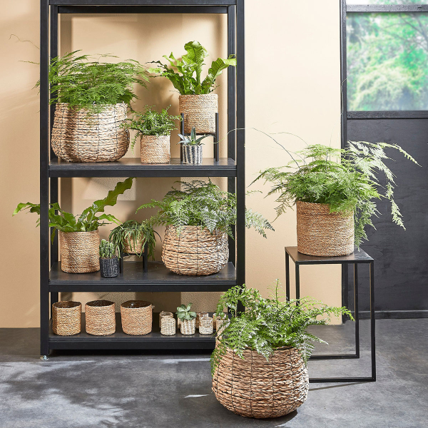 Κασπώ (Σετ 3τμχ) Edelman Avalon 1032354