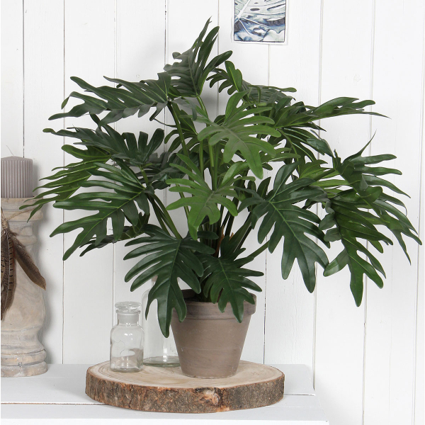 Τεχνητό Φυτό Σε Γλάστρα 50εκ. Edelman Philodendron Selloum 930651