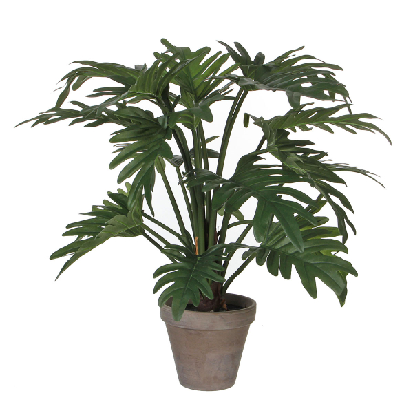Τεχνητό Φυτό Σε Γλάστρα 50εκ. Edelman Philodendron Selloum 930651