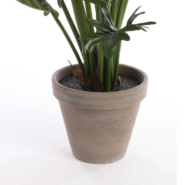 Τεχνητό Φυτό Σε Γλάστρα 50εκ. Edelman Philodendron Selloum 930651