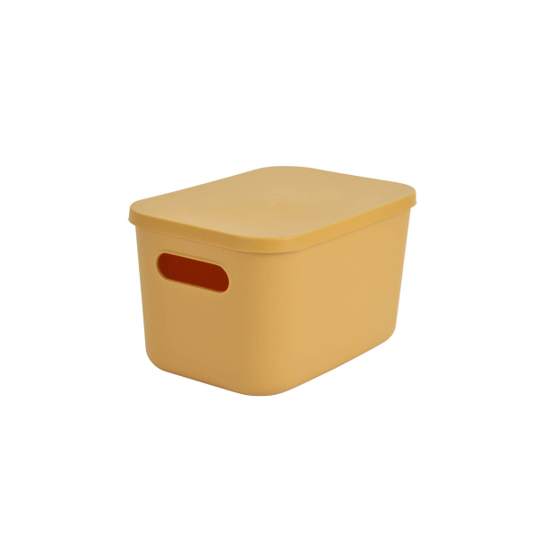 Κουτί Αποθήκευσης (25x17.5x14.5) L-C Ocre 6RAN840JA