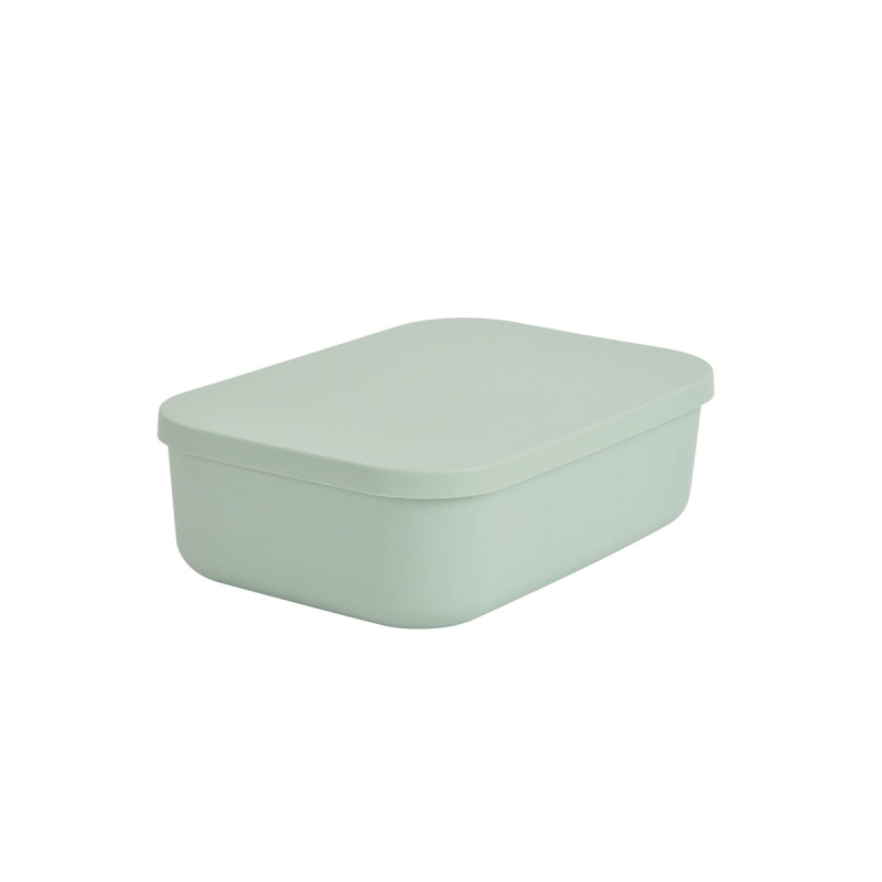 Κουτί Αποθήκευσης (25x17.5x7.6) L-C Sauge 6RAN838VC