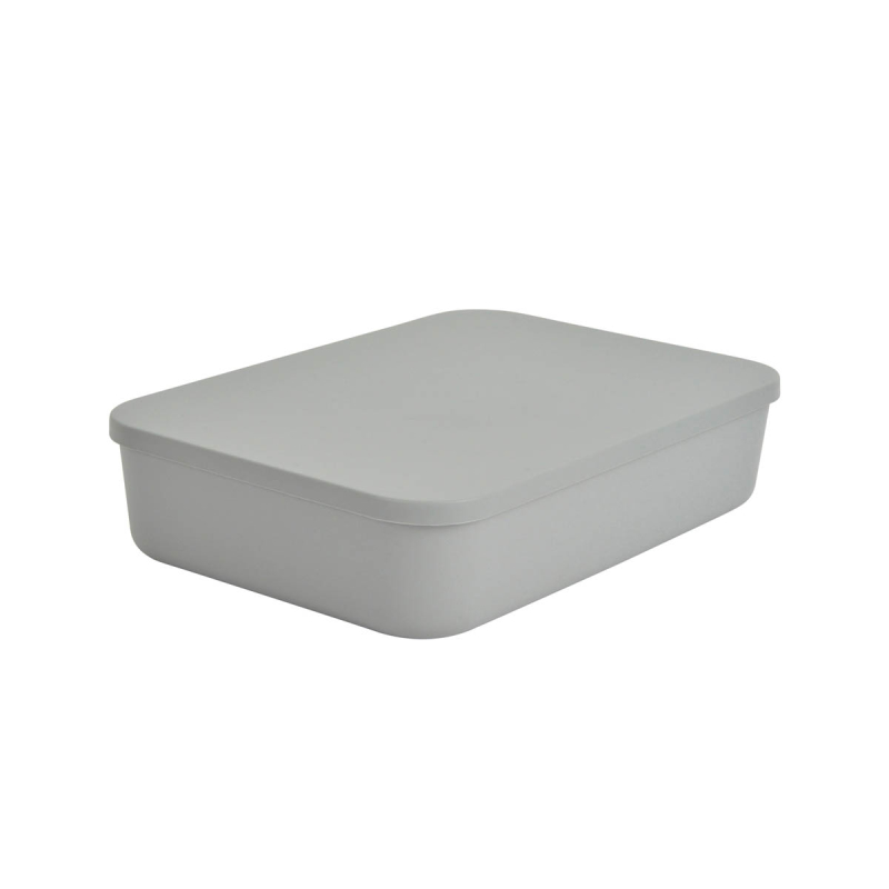 Κουτί Αποθήκευσης (35x25x8) L-C Gris 6RAN839GR