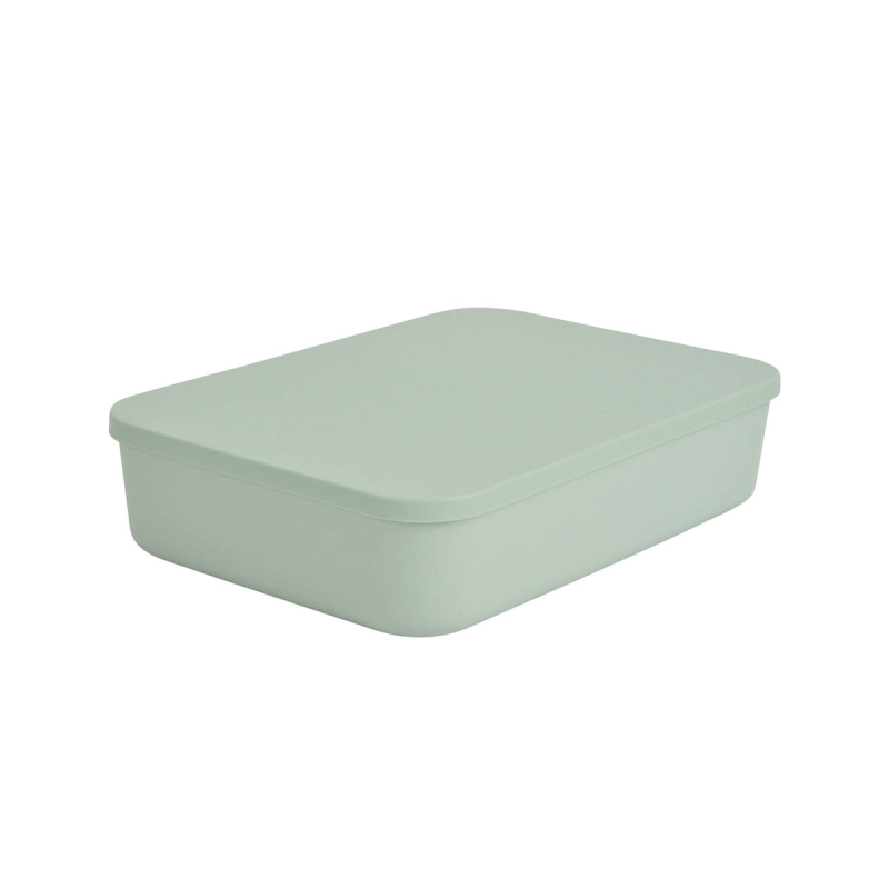 Κουτί Αποθήκευσης (35x25x8) L-C Sauge 6RAN839VC