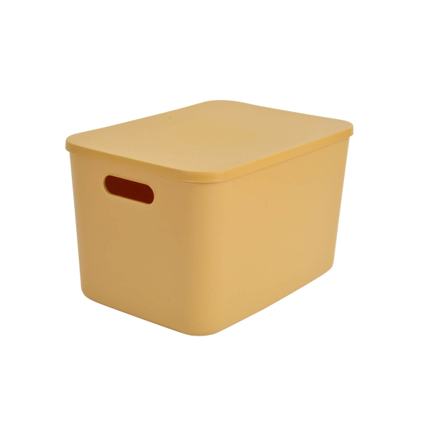 Κουτί Αποθήκευσης (35x25x21.5) L-C Ocre 6RAN842JA