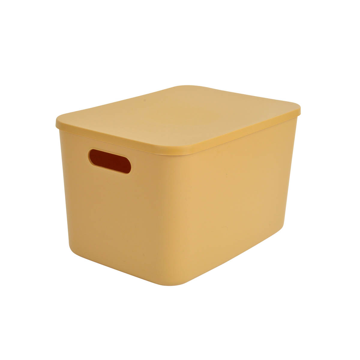 Κουτί Αποθήκευσης (35x25x21.5) L-C Ocre 6RAN842JA 281640